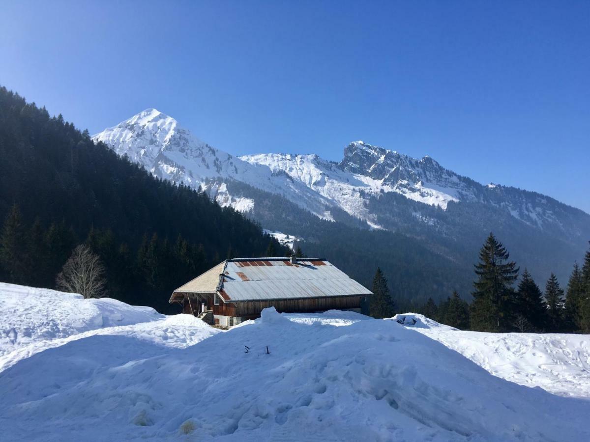 Chalet Marmotte 2 Morzine Exteriör bild