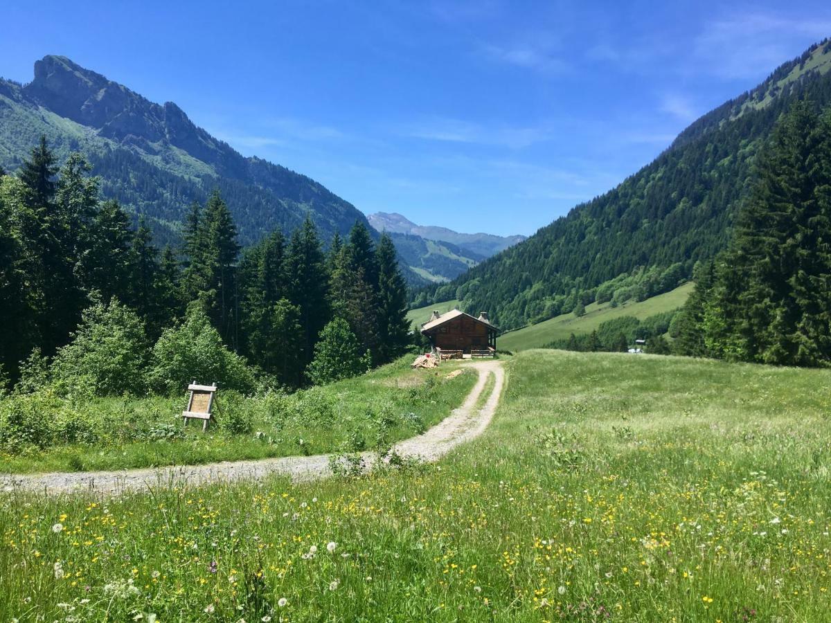 Chalet Marmotte 2 Morzine Exteriör bild